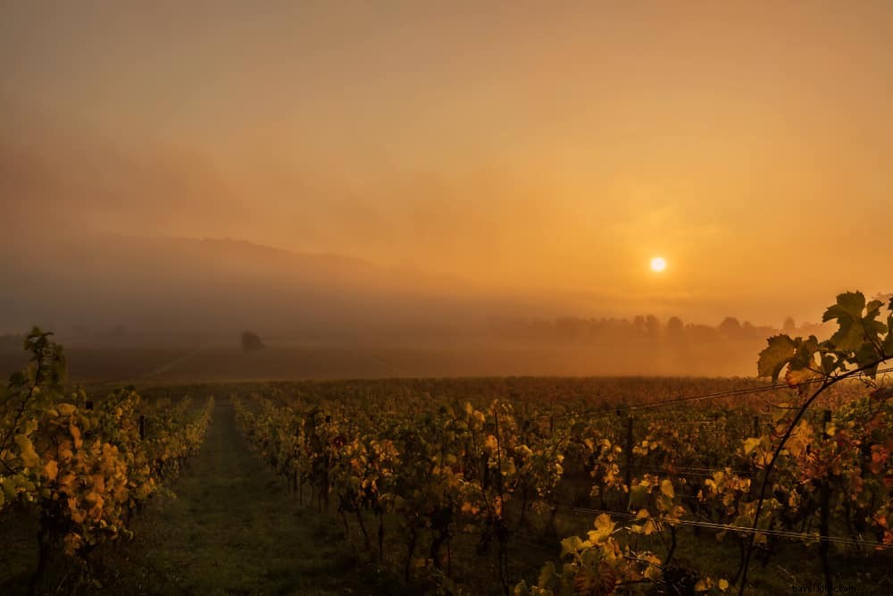 18 Most Beautiful Places to Visit in Surrey: Insider Guide from a Local Resident