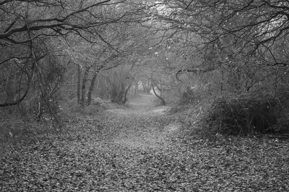 20 Stunning Places to Visit in Oxfordshire: A Local s Guide to the County s Hidden Gems