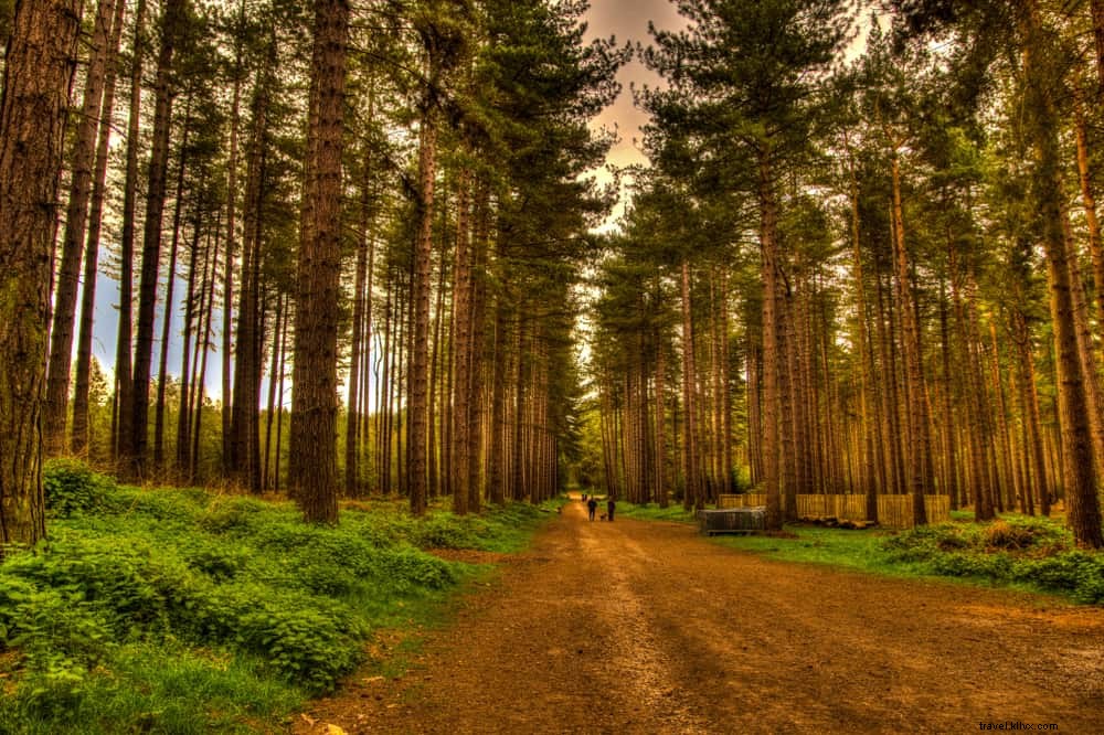 15 Stunning Destinations in Nottinghamshire You Must Visit