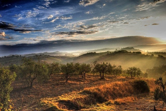 Discover Tuscany: 20 Must-See Destinations for Your Next Trip