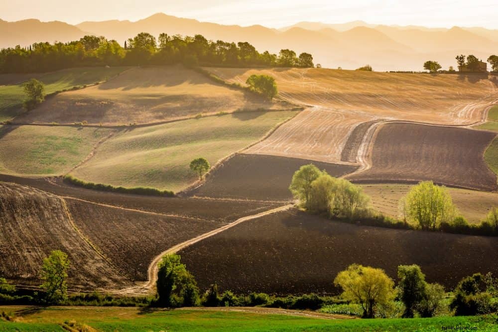 Discover Tuscany: 20 Must-See Destinations for Your Next Trip