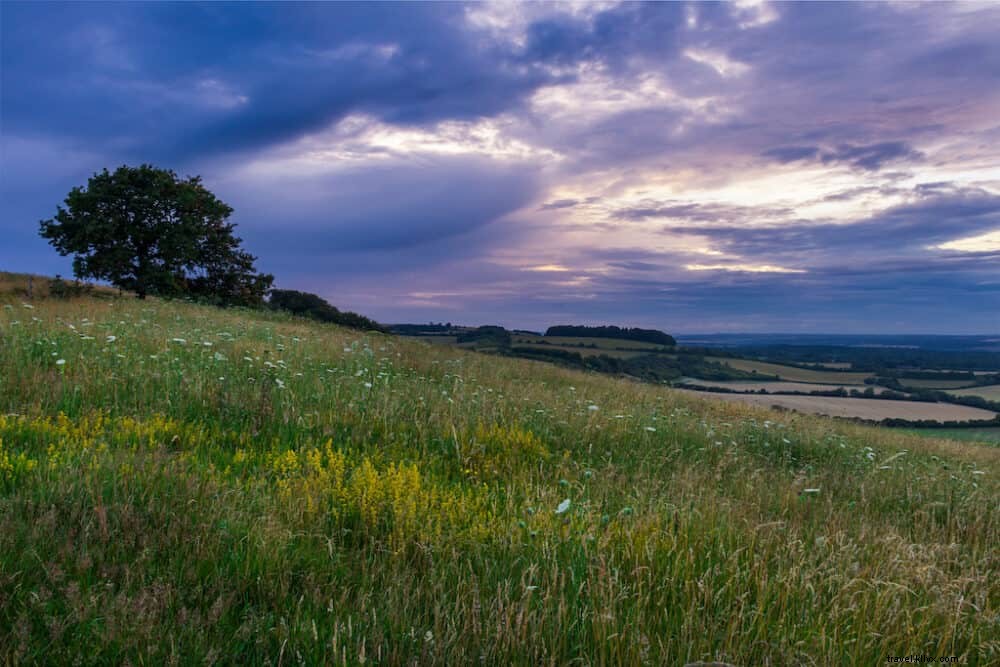 Top 15 Most Beautiful Places to Visit in Hampshire, UK