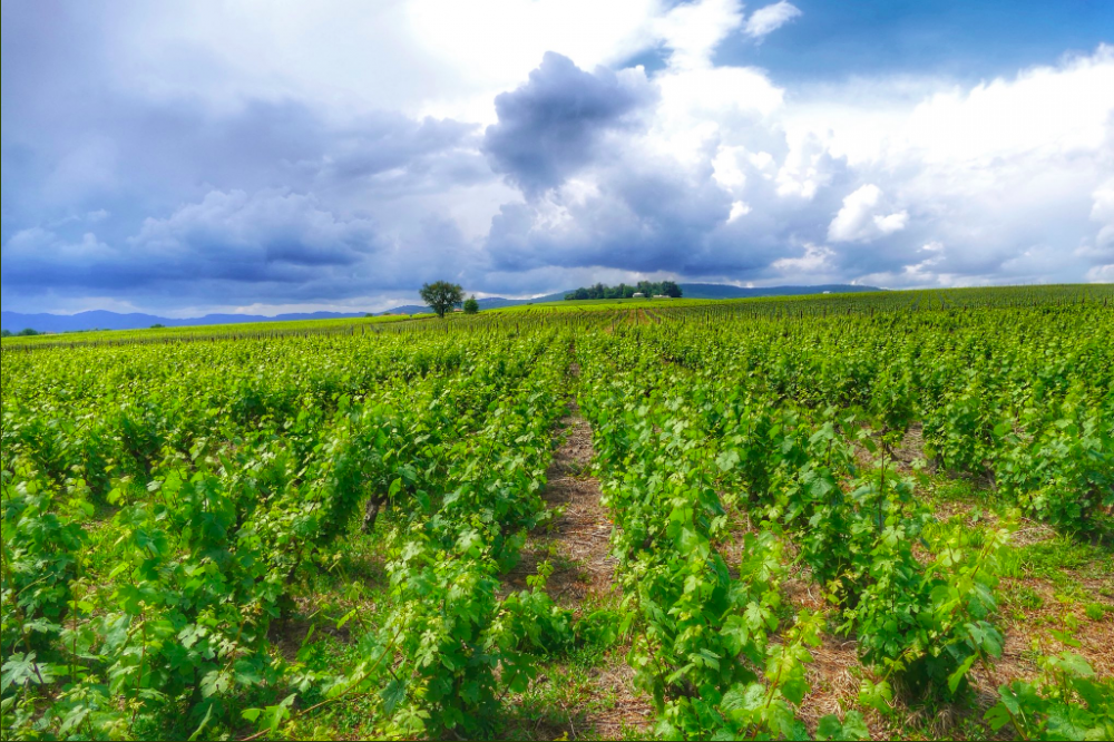 Explore France: 20 Stunning Destinations You Must Visit