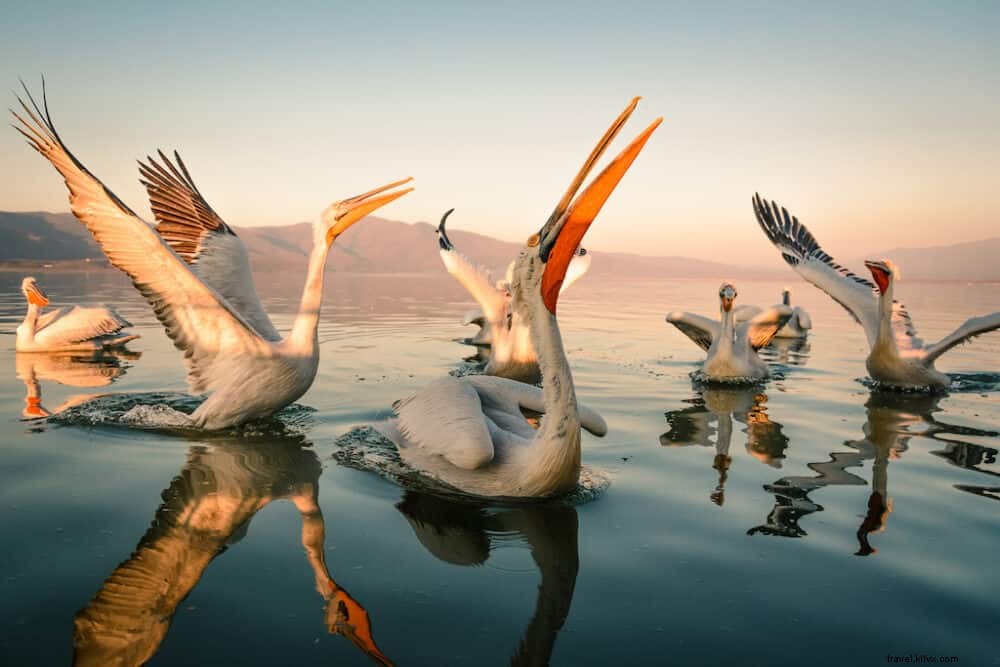 20 Most Beautiful Places to Visit in Greece: Insider Guide to Stunning Destinations