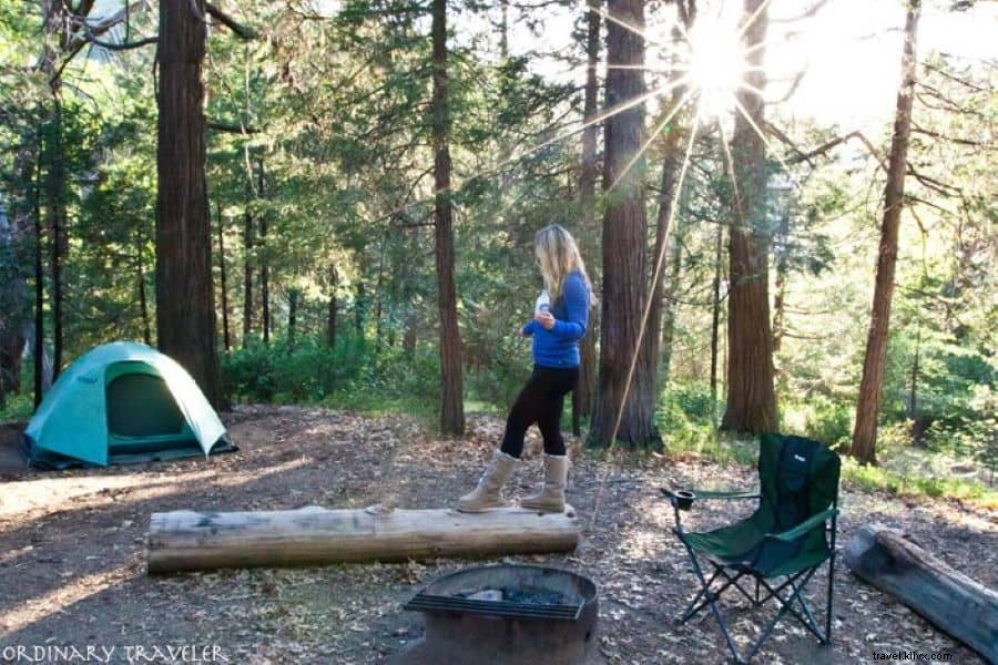 Ultimate Vegan Camping Guide: Plant-Based Meals, Ethical Gear & Pro Tips