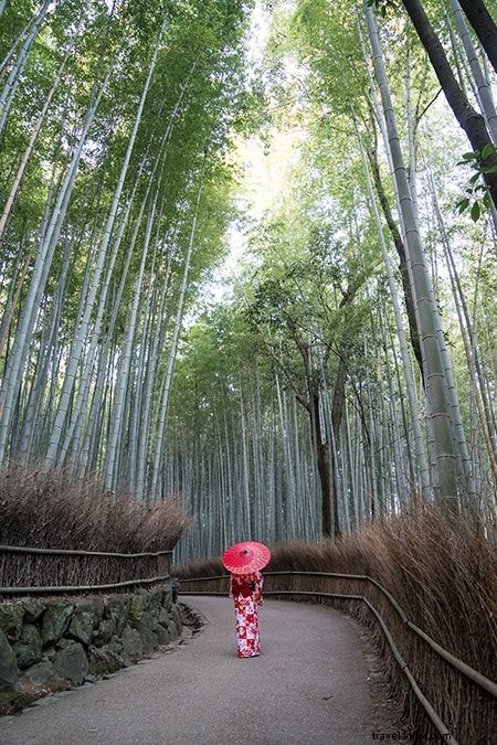 How to Visit Japan on a Budget: Proven Tips from a Seasoned Traveler