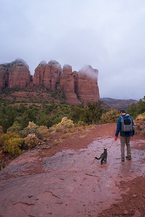 Why Commitment Unlocks Everything You Desire in Life