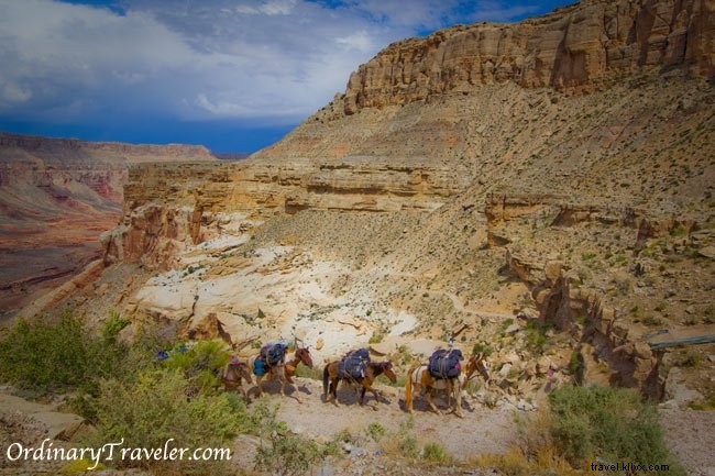 Ultimate Havasu Falls Travel Guide: Essential Tips for Havasupai Reservation, Arizona