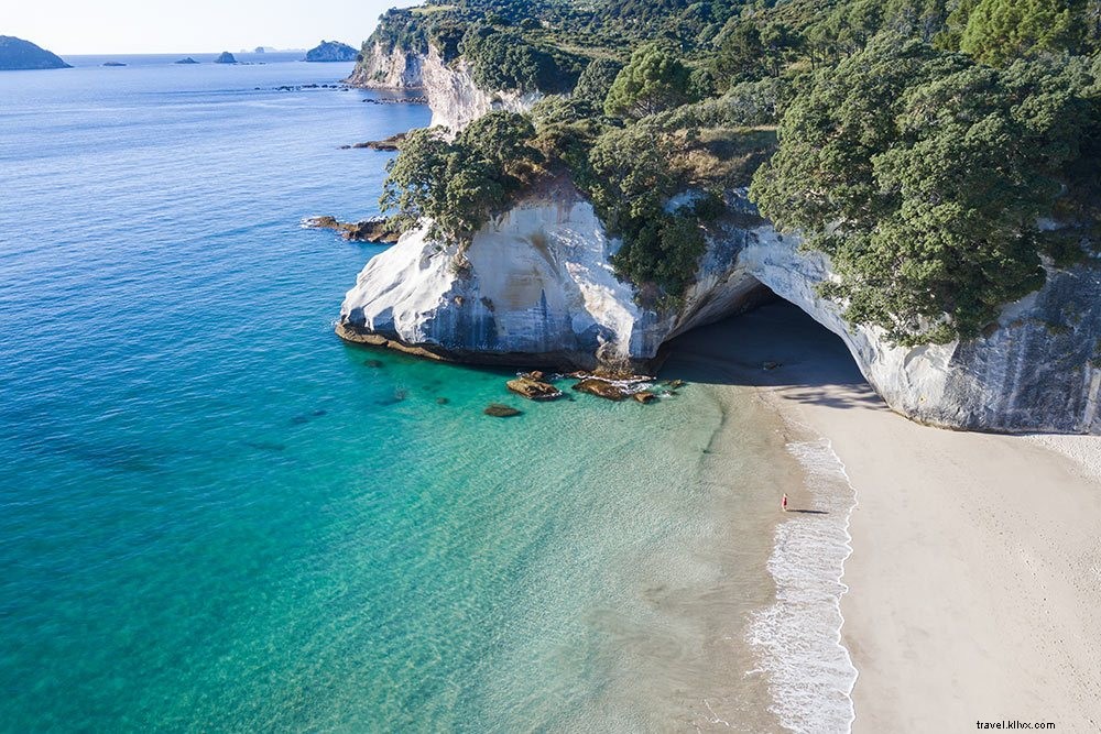 Ultimate 6-Day North Island Road Trip Itinerary: New Zealand s Top Highlights