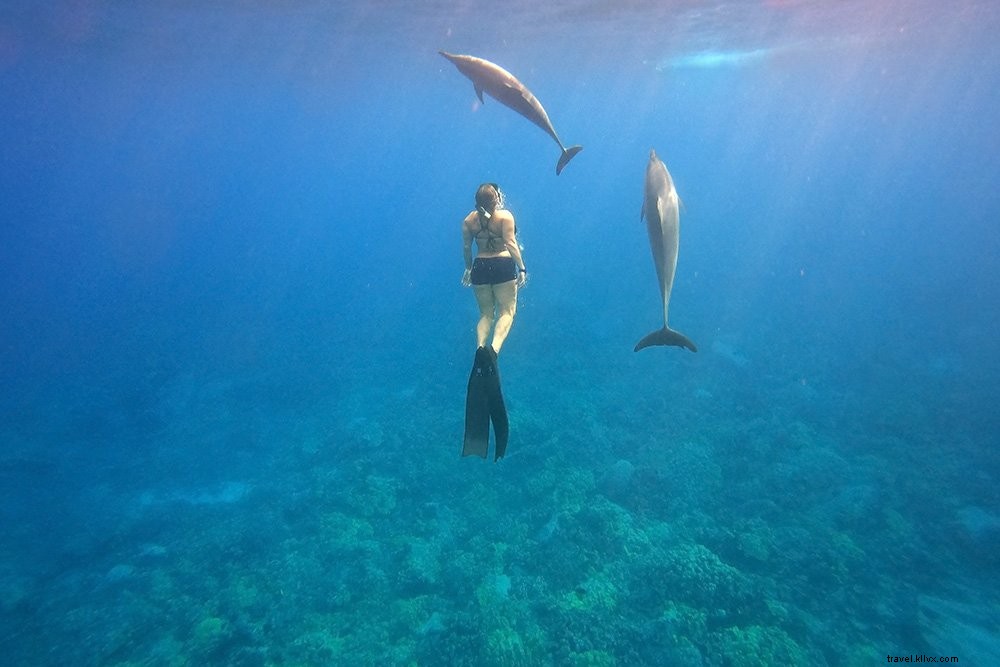 10 Essential Tips for Sustainable Travel in Hawaii: Protect Paradise Responsibly