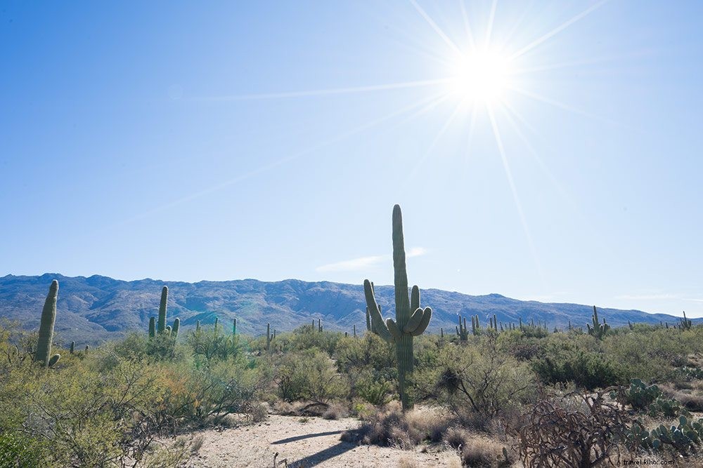 Ultimate Tucson, Arizona Weekend Getaway Guide: Top Attractions, Dining & Stays