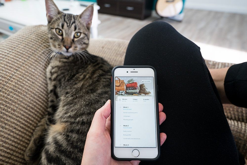 Master Any Language Effectively: Rosetta Stone s Your Plan App Guide
