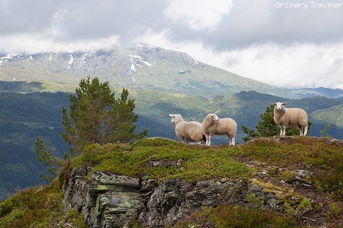 The Ultimate Road Trip Packing List: Essential Gear and Pro Tips for Success