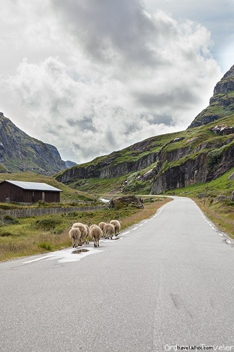 The Ultimate Road Trip Packing List: Essential Gear and Pro Tips for Success