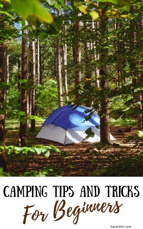 Essential Camping Tips for Beginners: Gear, Planning, Safety, and More