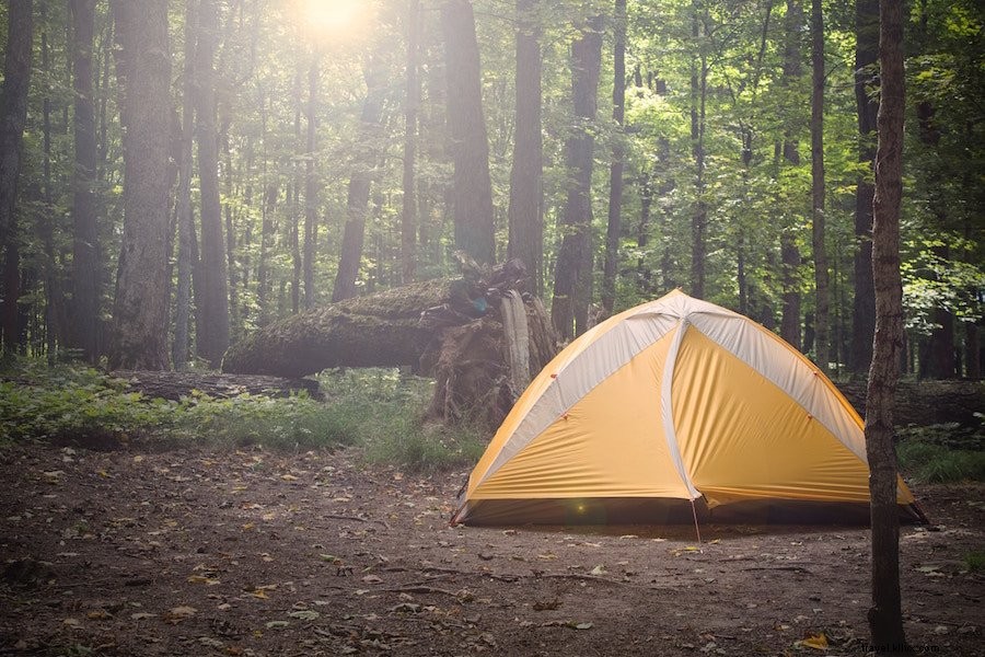 Essential Camping Tips for Beginners: Gear, Planning, Safety, and More