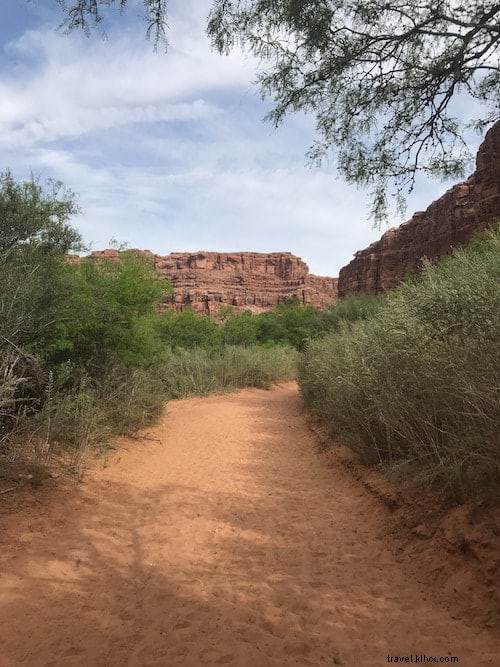 Ultimate Havasu Falls Camping Guide: Permits, Fees, Hikes & Essential Tips