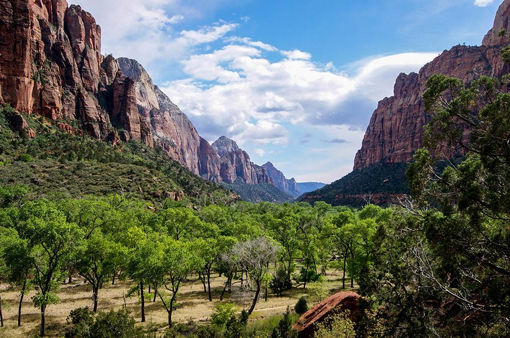 Ultimate Guide to Camping in Zion National Park: Best Campgrounds, Tips & Essentials