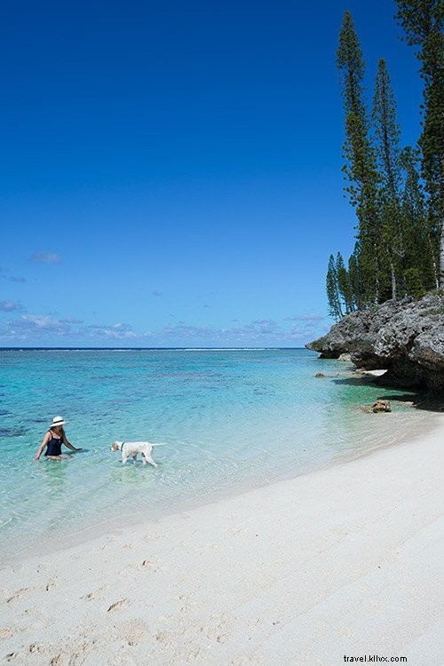 Ultimate South Pacific Cruise Packing List: Must-Have Essentials for Ship and Shore