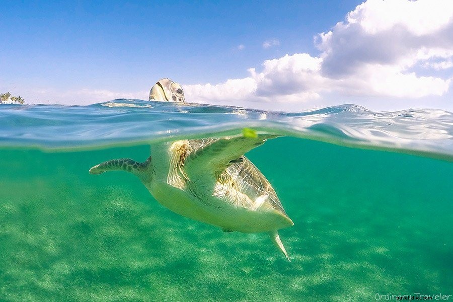 25 Best Honeymoon Destinations Worldwide (Top Hotels and Resorts Included)