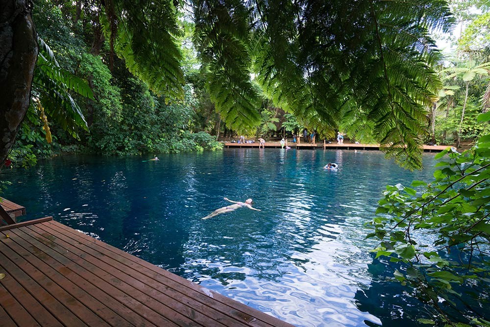 17-Day South Pacific Cruise with Holland America: An Insider s Guide to MS Maasdam