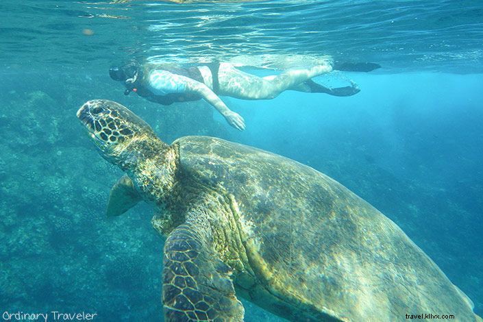 Best Places to Visit and Stay in Maui: Top Destinations Guide