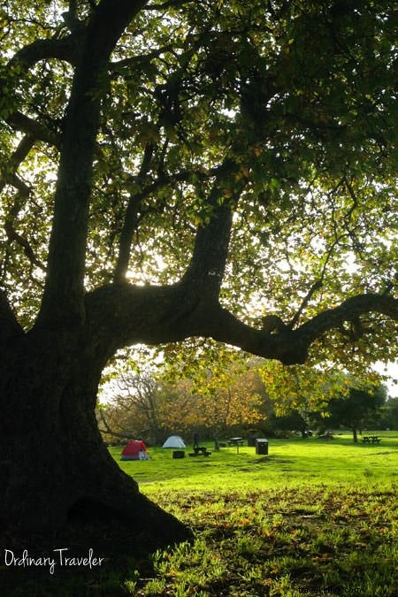 20 Expert Camping Hacks: Essential Tips from Seasoned Campers