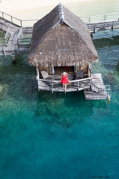 Ultimate Budget Travel Guide to Moorea, Tahiti: Expert Tips from a Recent Visitor