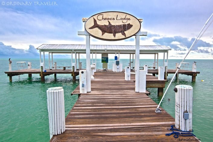 Ultimate Florida Keys Travel Guide: Top Things to Do, Stays in Marathon & Islamorada