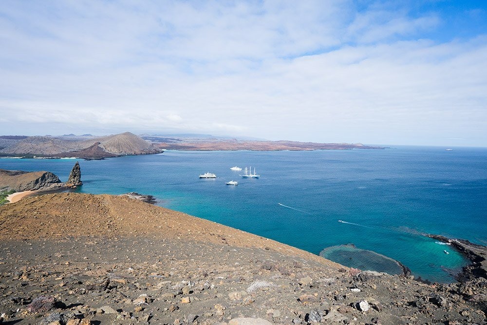 Cruising the Galapagos Islands: My Expert Experience with Andando Tours