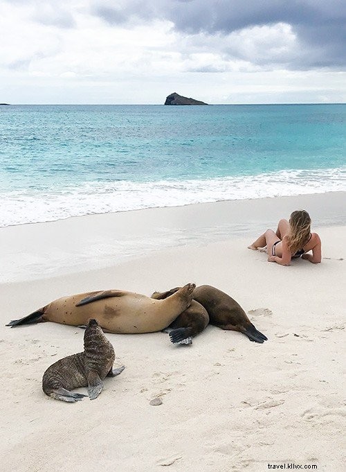 Cruising the Galapagos Islands: My Expert Experience with Andando Tours