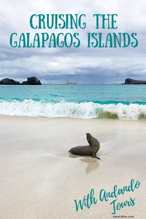 Cruising the Galapagos Islands: My Expert Experience with Andando Tours