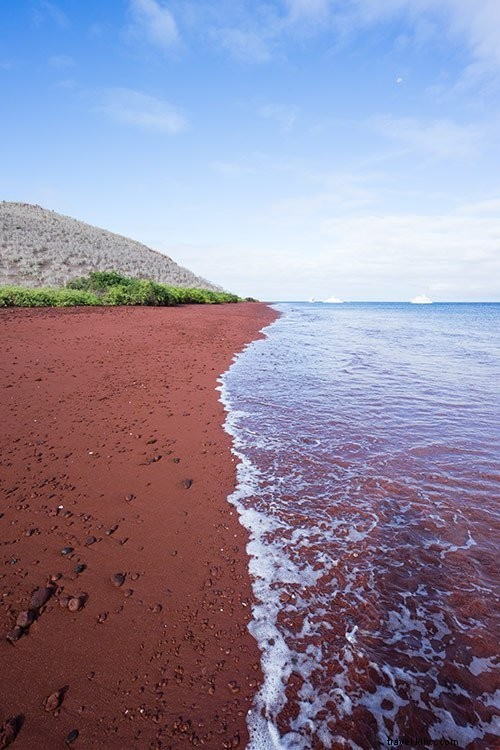 Cruising the Galapagos Islands: My Expert Experience with Andando Tours