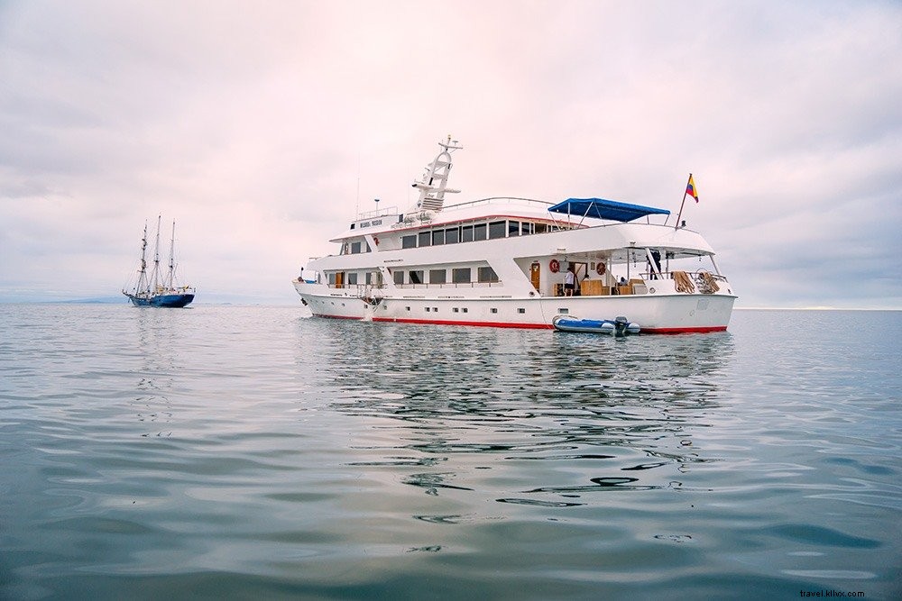 Cruising the Galapagos Islands: My Expert Experience with Andando Tours