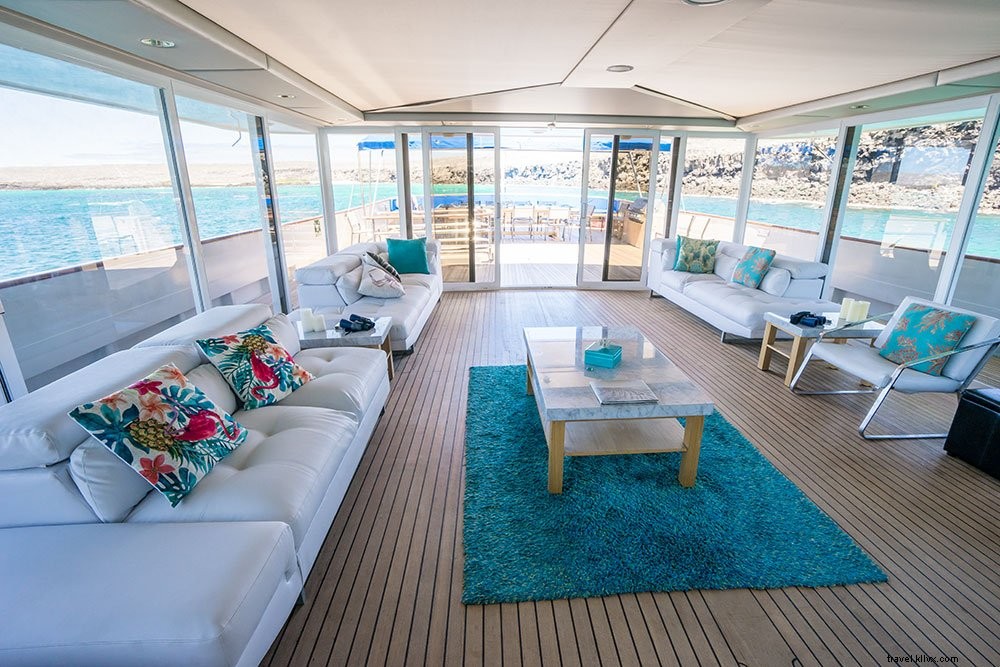 Cruising the Galapagos Islands: My Expert Experience with Andando Tours