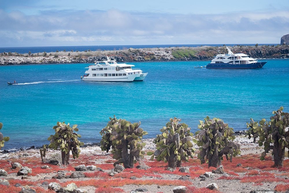 Cruising the Galapagos Islands: My Expert Experience with Andando Tours