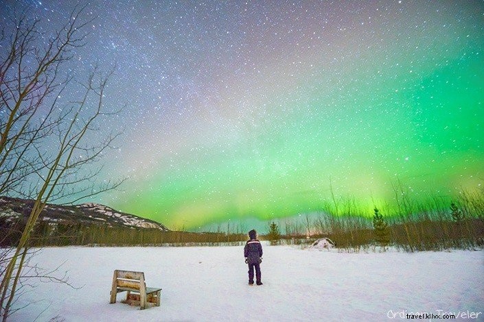 Top 10 Canadian Destinations for Solo Travelers: Safe, Scenic, and Unforgettable