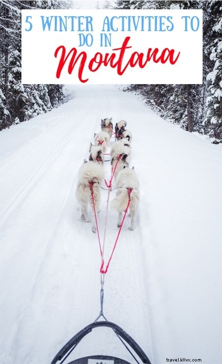 5 Best Ways to Connect with Nature in Montana This Winter