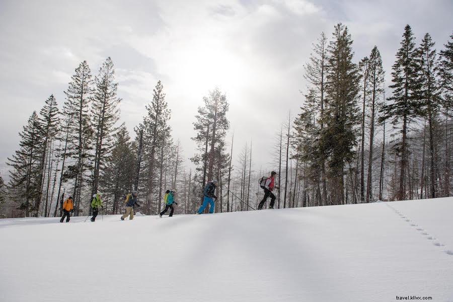 5 Best Ways to Connect with Nature in Montana This Winter