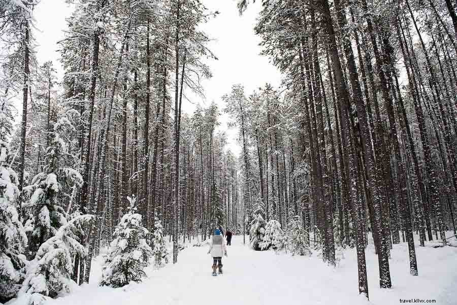 5 Best Ways to Connect with Nature in Montana This Winter