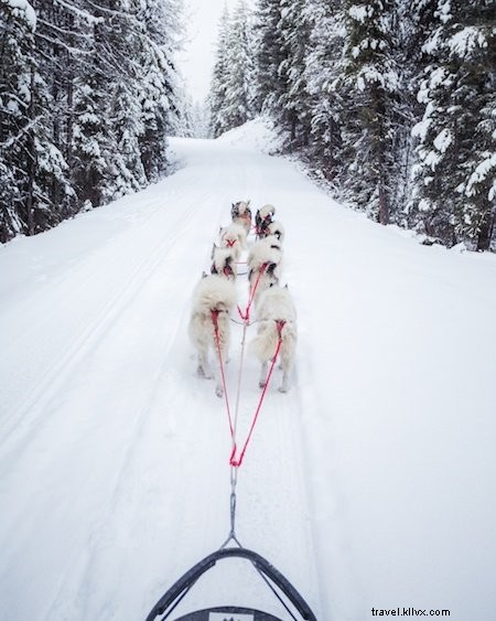 5 Best Ways to Connect with Nature in Montana This Winter