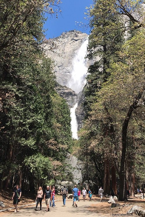 Top Photography Spots in Yosemite National Park: A Professional Guide