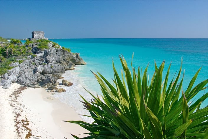 Top 8 Reasons to Visit Riviera Maya, Mexico: Cenotes, Beaches & Mayan Wonders