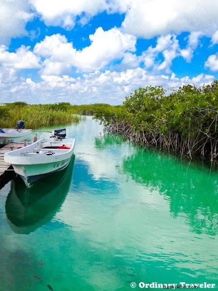 Top 8 Reasons to Visit Riviera Maya, Mexico: Cenotes, Beaches & Mayan Wonders