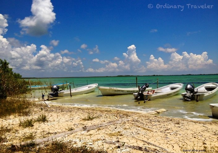 Top 8 Reasons to Visit Riviera Maya, Mexico: Cenotes, Beaches & Mayan Wonders