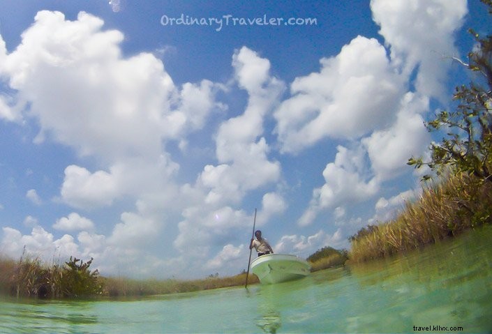 Top 8 Reasons to Visit Riviera Maya, Mexico: Cenotes, Beaches & Mayan Wonders