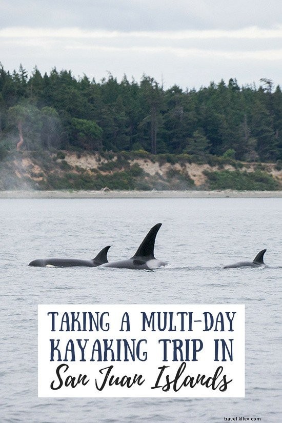 Ultimate Guide to Kayaking in Washington s San Juan Islands: Itinerary, Tips & Whale Watching