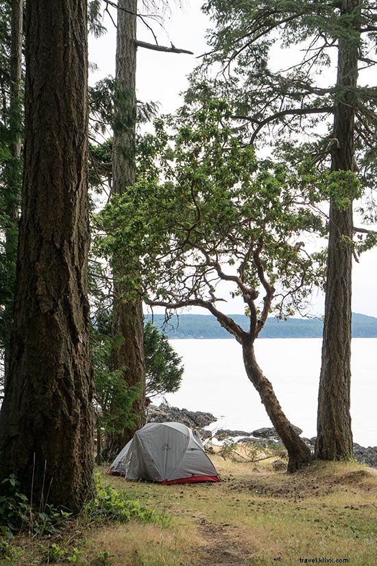 Ultimate Guide to Kayaking in Washington s San Juan Islands: Itinerary, Tips & Whale Watching