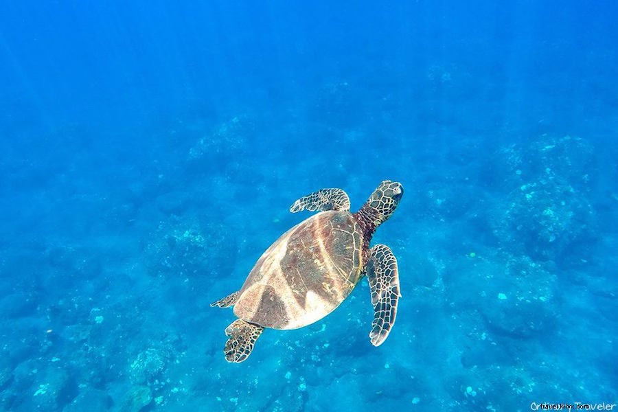 How to Choose the Perfect Hawaiian Island for Your Vacation: Expert Guide