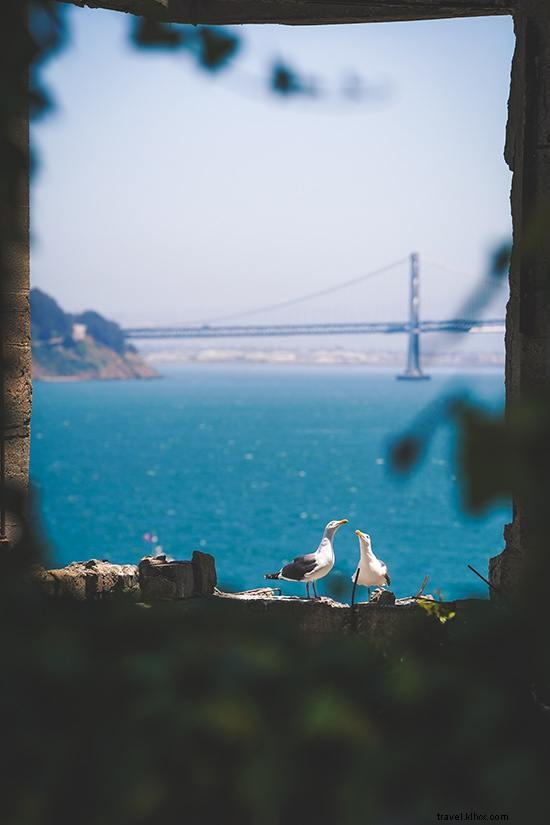 20 Best Things to Do in San Francisco: Insider Guide to Hidden Gems and Must-Sees